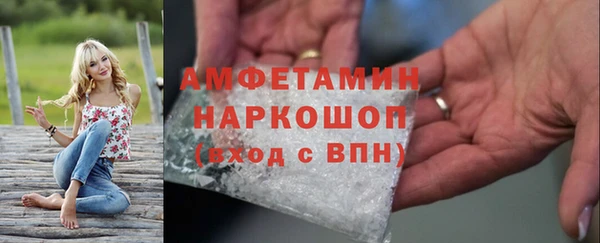 гидра Алексеевка